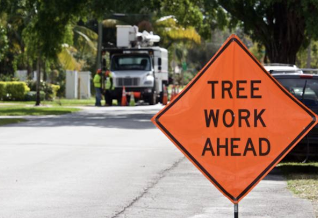 tree removal Parkland wa
