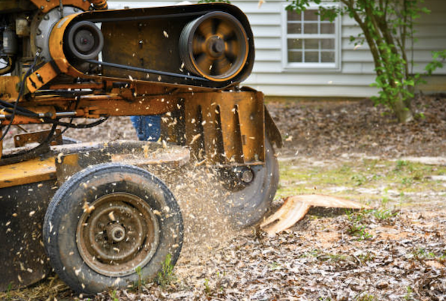 stump grinding pierce wa
